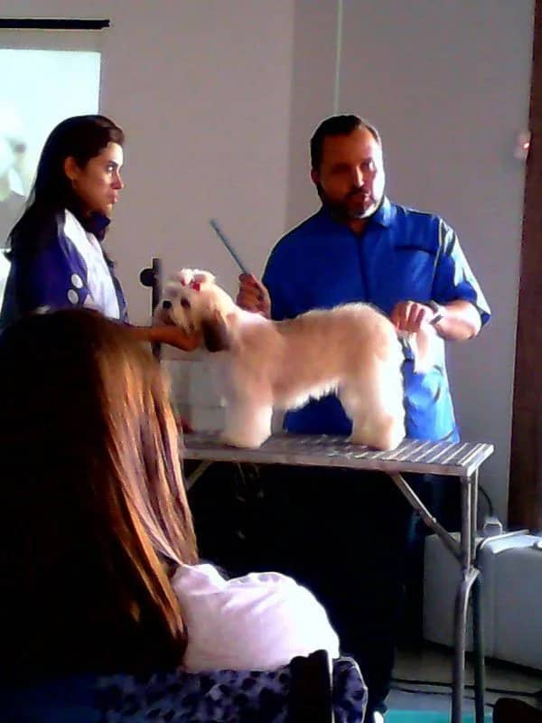 Foto 10 de Mister Dog, Pet Shops em Divinópolis - MG