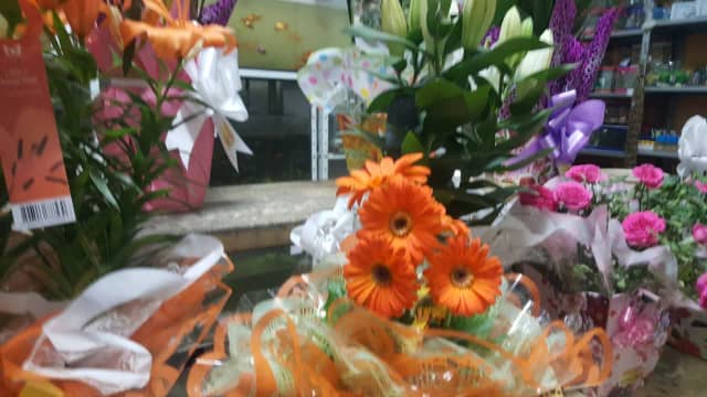 Foto 6 de Floricultura Serikawa, Floriculturas em Divinópolis - MG