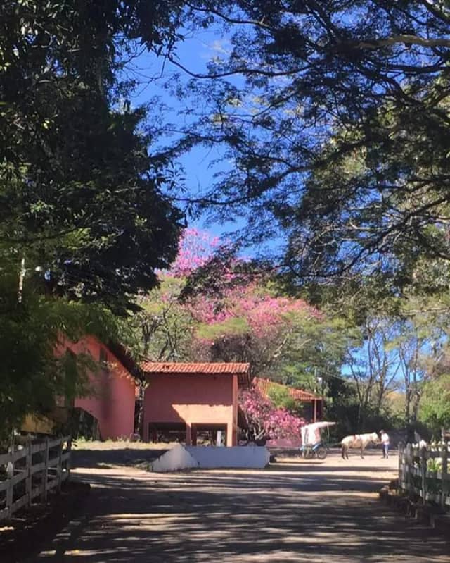 Foto 3 de Hotel Fazenda Capetinga, Pousadas e Hotéis em Divinópolis - MG