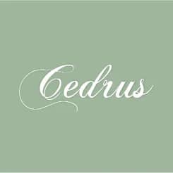 Logo de Cedrus Consultoria Ambiental